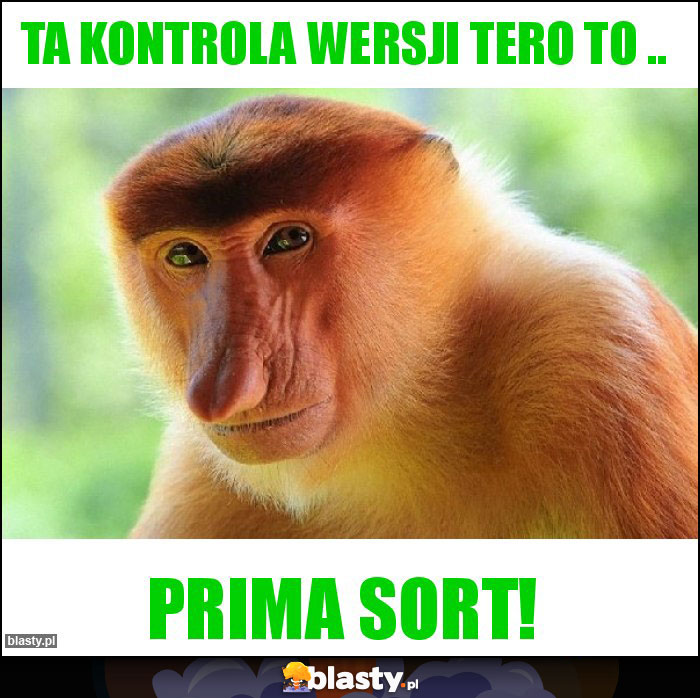 ta kontrola wersji tero to ..