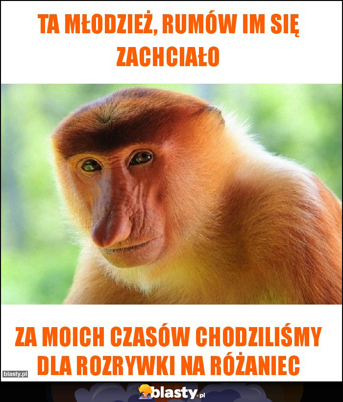Ta młodzież, rumów im się zachciało Ta młodzież, rumów im się zachciało