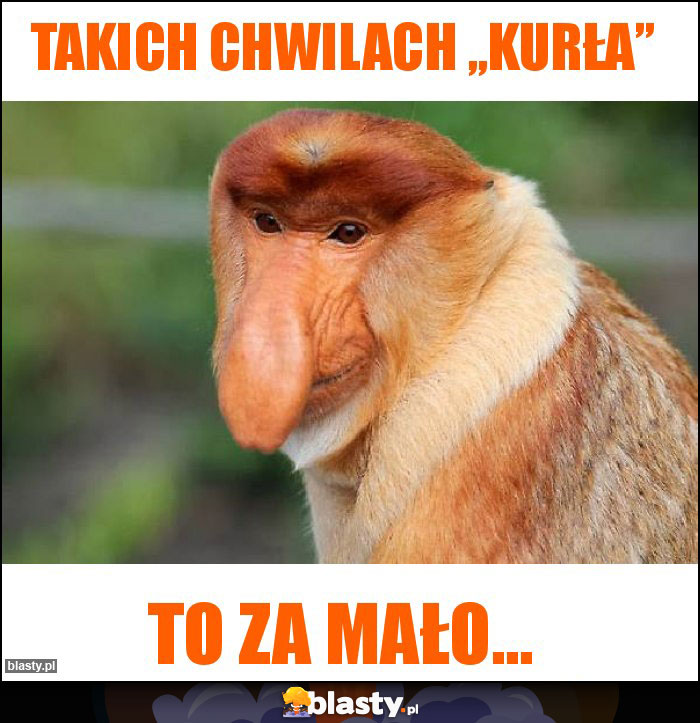 Takich chwilach „kurła” Takich chwilach „kurła”
