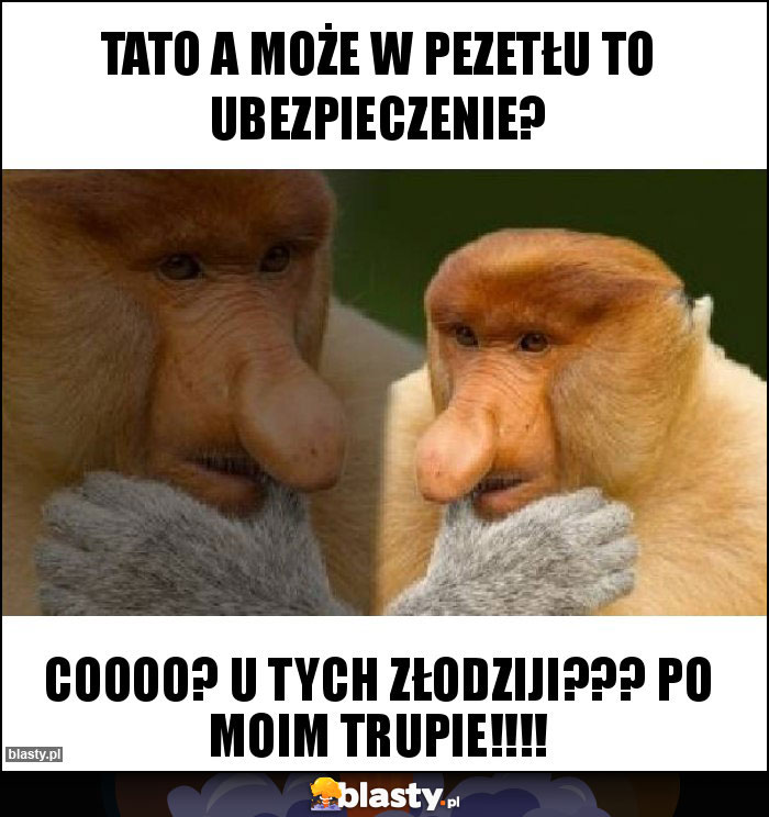 Tato a może w Pezetłu to ubezpieczenie? Tato a może w Pezetłu to ubezpieczenie?