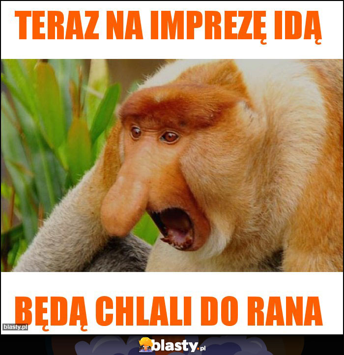 Teraz na imprezę idą Teraz na imprezę idą