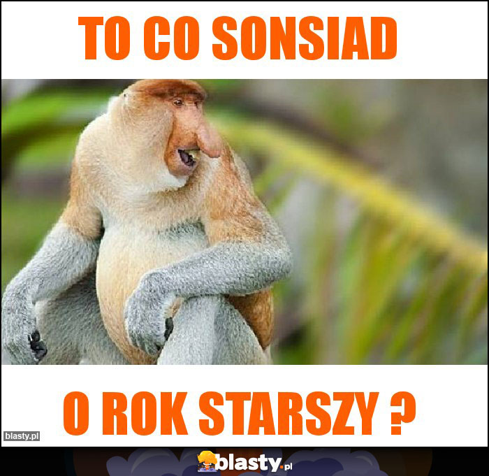 TO CO SONSIAD TO CO SONSIAD