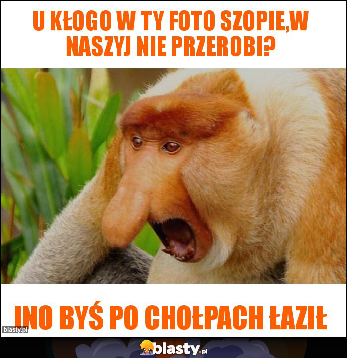 u kłogo w ty foto szopie,w naszyj nie przerobi? u kłogo w ty foto szopie,w naszyj nie przerobi?