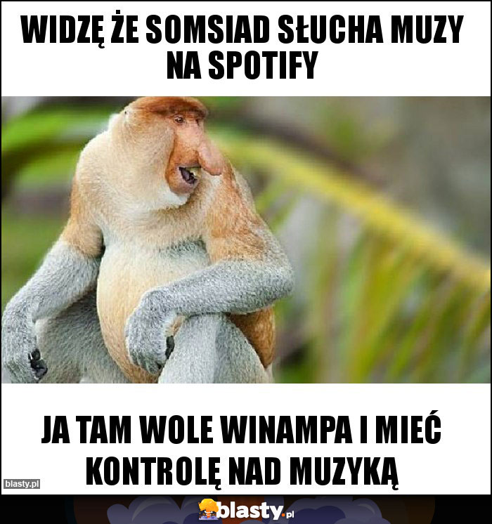 WIDZĘ ŻE SOMSIAD SŁUCHA MUZY NA SPOTIFY WIDZĘ ŻE SOMSIAD SŁUCHA MUZY NA SPOTIFY