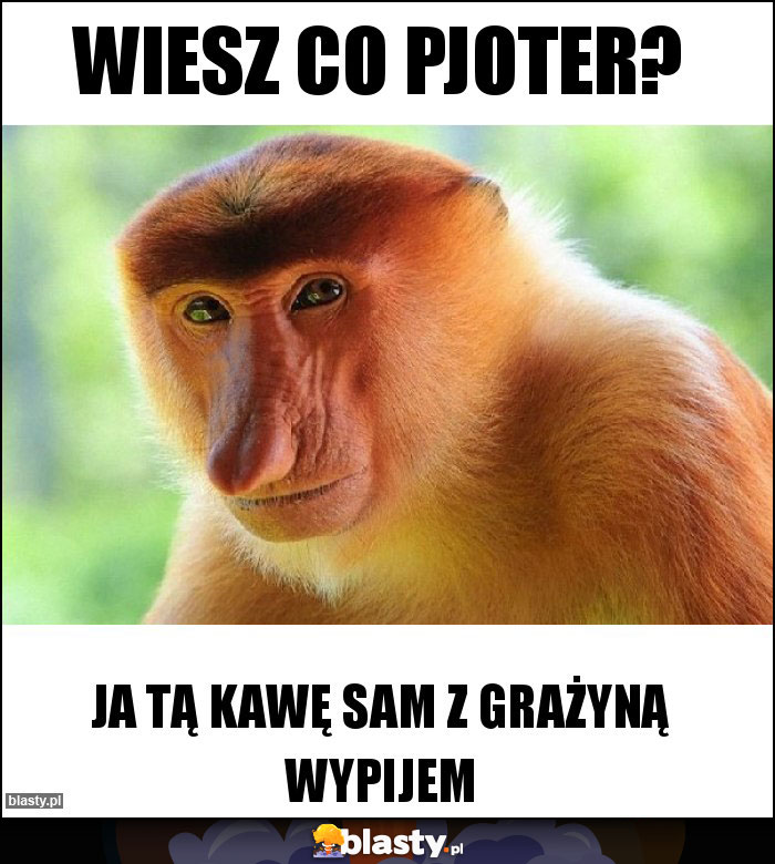 Wiesz co pjoter? Wiesz co pjoter?