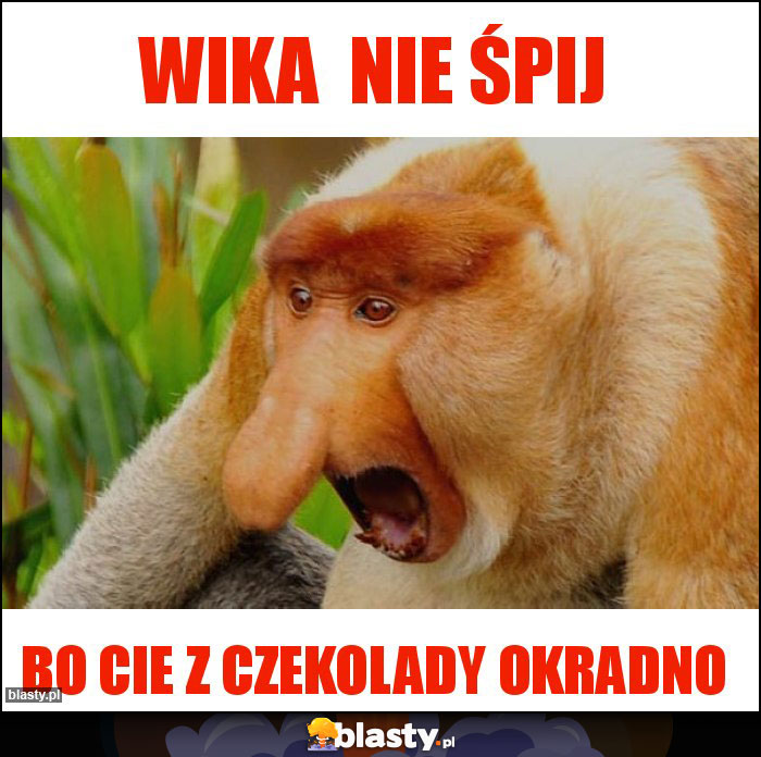 wika nie śpij wika nie śpij