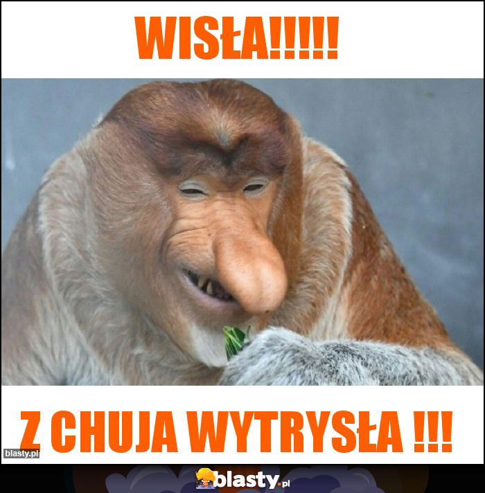 Wisła!!!!! Wisła!!!!!