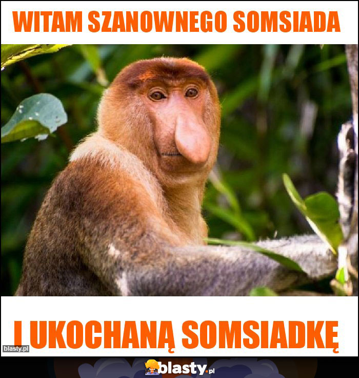 Witam szanownego somsiada Witam szanownego somsiada