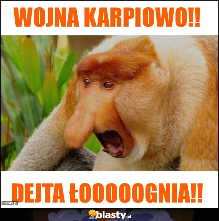 Wojna karpiowo!! Wojna karpiowo!!