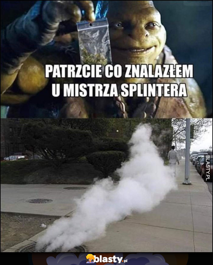 Wojownicze żółwie ninja