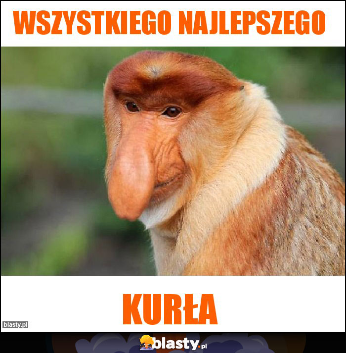 WSZYSTKIEGO NAJLEPSZEGO WSZYSTKIEGO NAJLEPSZEGO