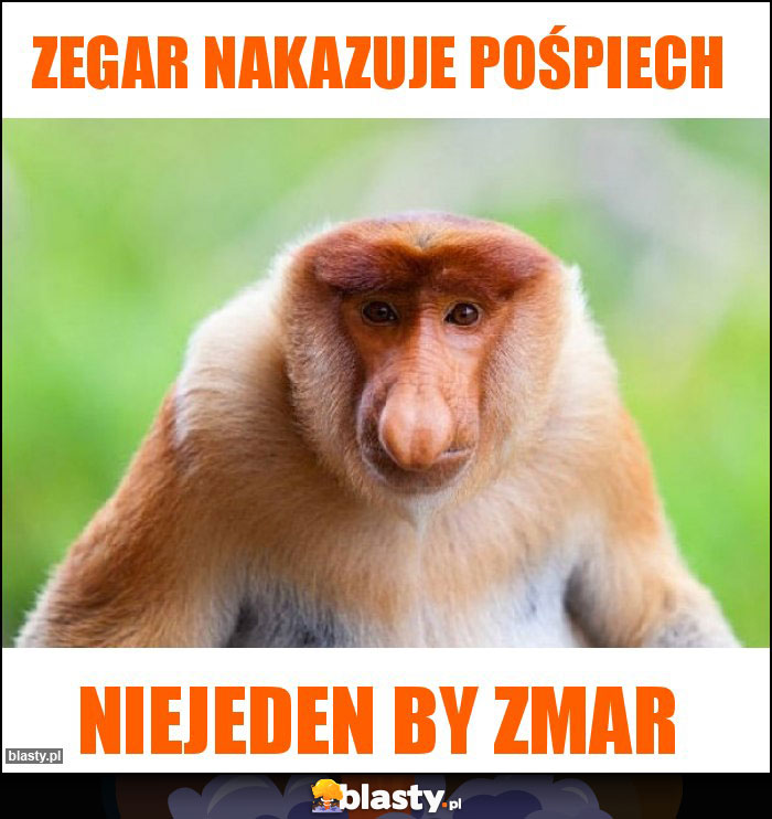 Zegar nakazuje pośpiech Zegar nakazuje pośpiech