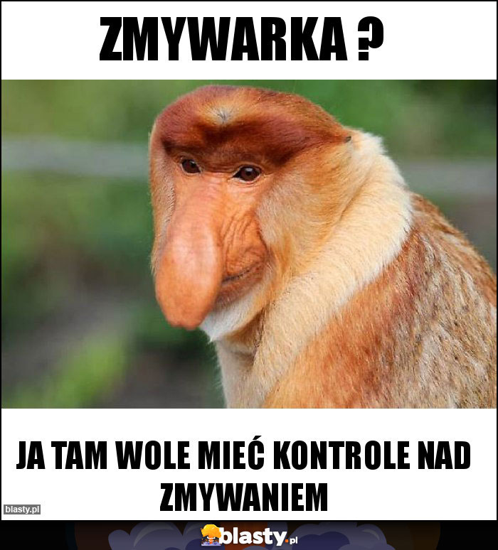 Zmywarka ? Zmywarka ?