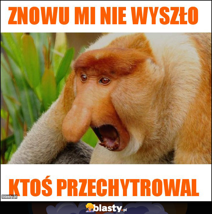 Znowu mi nie wyszło Znowu mi nie wyszło