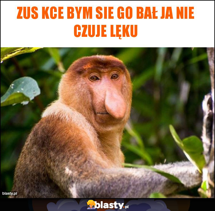 Zus kce bym sie go bał ja nie czuje lęku Zus kce bym sie go bał ja nie czuje lęku