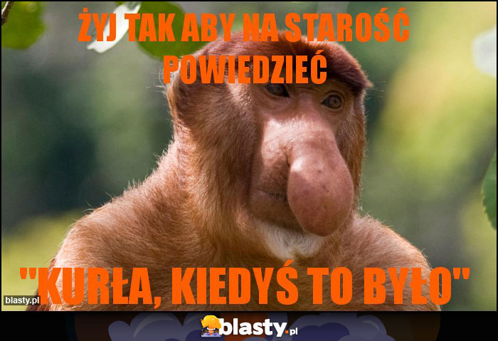 Żyj tak aby na starość powiedzieć Żyj tak aby na starość powiedzieć