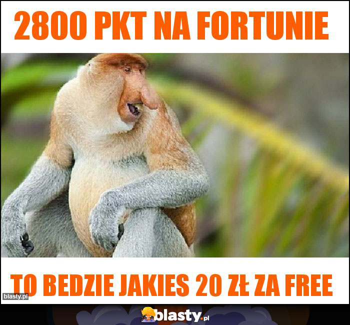 2800 pkt na fortunie 2800 pkt na fortunie