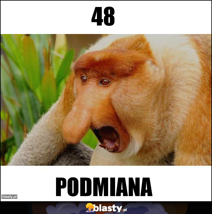 48