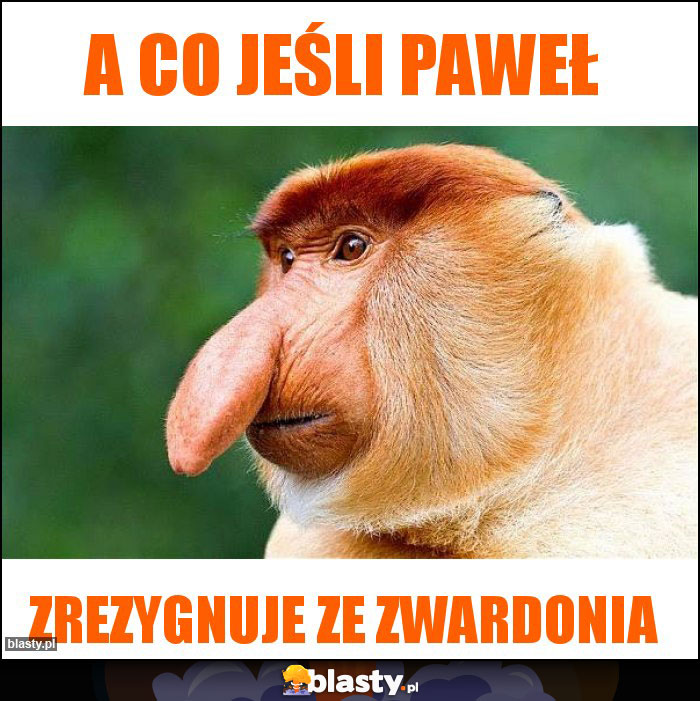 A co jeśli paweł A co jeśli paweł