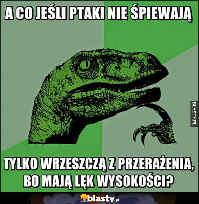 A co jeśli ptaki nie śpiewają tylko wrzeszczą z przerażenia, bo mają lęk wysokości?