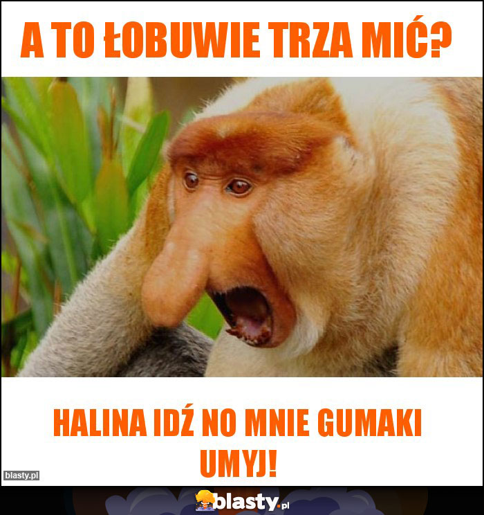 A to łobuwie trza mić? A to łobuwie trza mić?