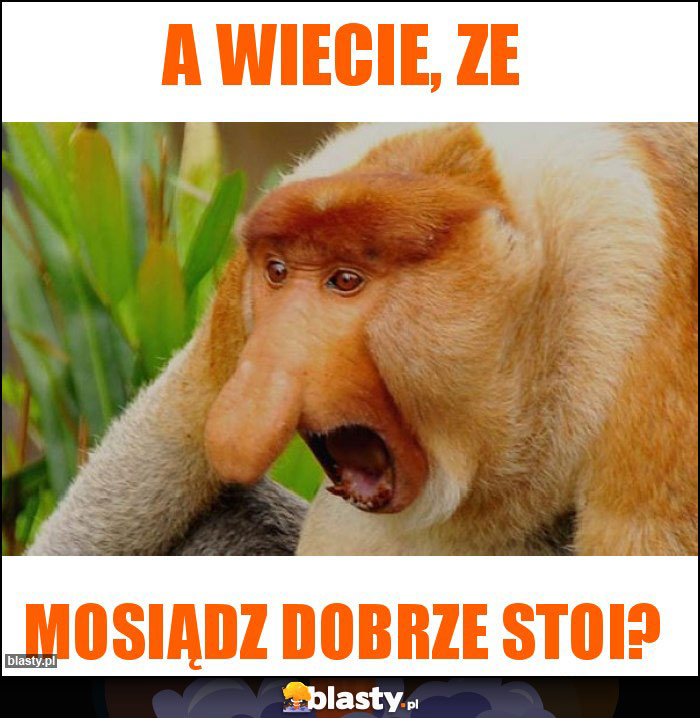 A wiecie, ze A wiecie, ze