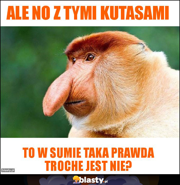 ALE NO Z TYMI KUTASAMI ALE NO Z TYMI KUTASAMI