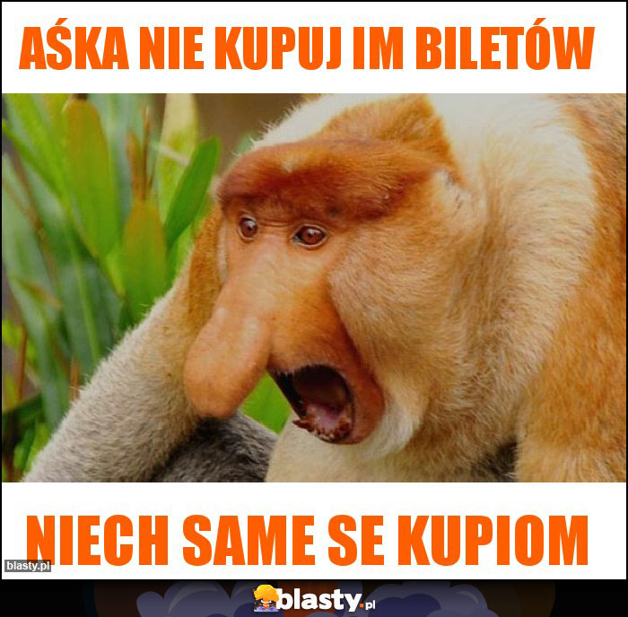Aśka nie kupuj im biletów Aśka nie kupuj im biletów