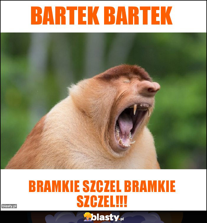 Bartek Bartek Bartek Bartek