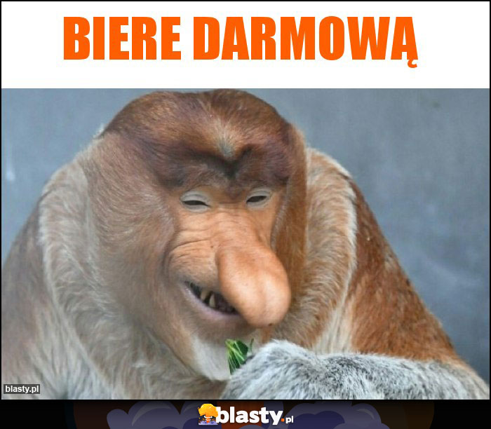 Biere darmową