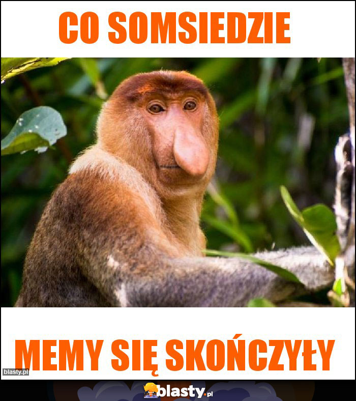 Co somsiedzie Co somsiedzie