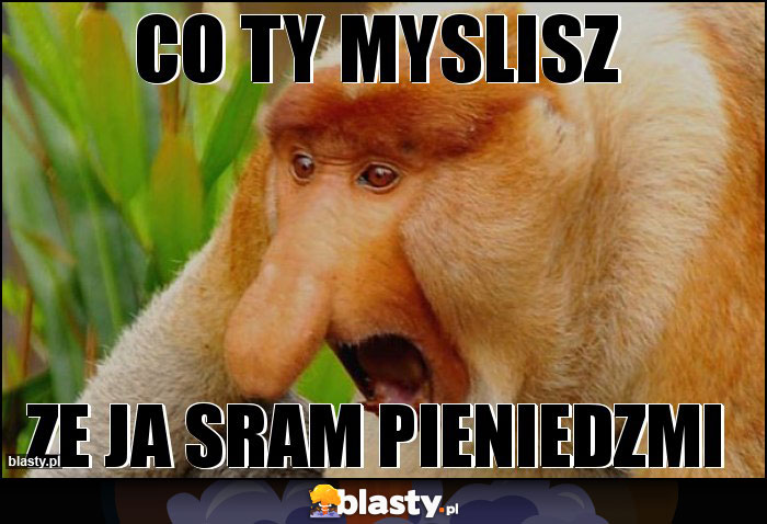 co ty myslisz co ty myslisz