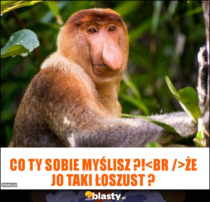 Co ty sobie myślisz ?!
Że jo taki łoszust ? Co ty sobie myślisz ?!
Że jo taki łoszust ?