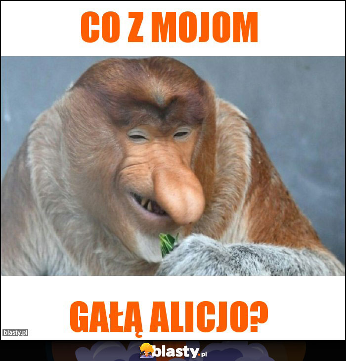 co z mojom co z mojom