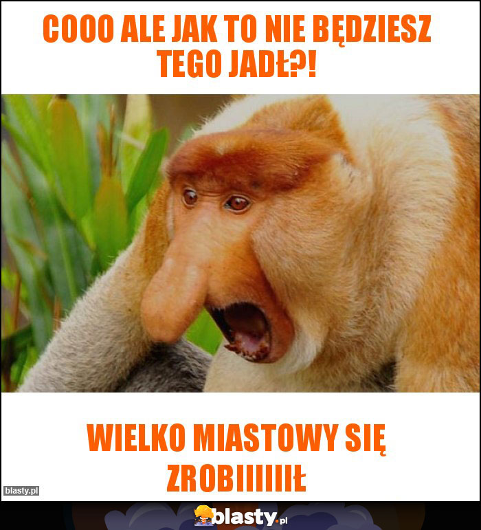 COOO ALE JAK TO NIE BĘDZIESZ TEGO JADŁ?! COOO ALE JAK TO NIE BĘDZIESZ TEGO JADŁ?!