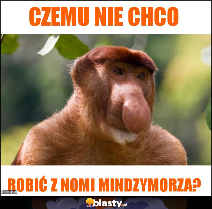 Czemu nie chco Czemu nie chco