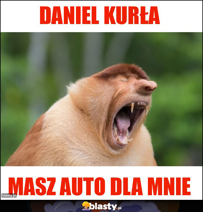 Daniel kurła