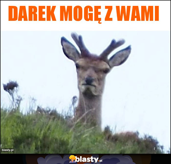 Darek mogę z wami Darek mogę z wami