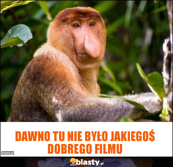 Dawno tu nie było jakiegoś dobrego filmu Dawno tu nie było jakiegoś dobrego filmu