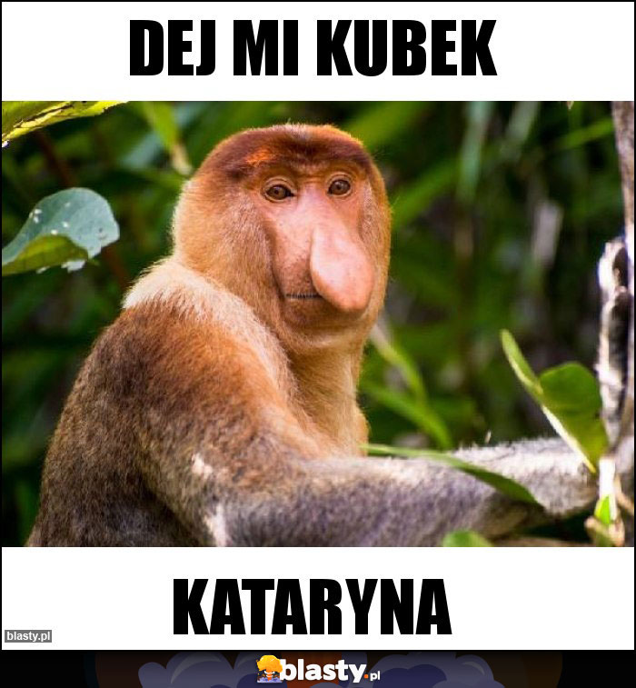 Dej mi kubek Dej mi kubek