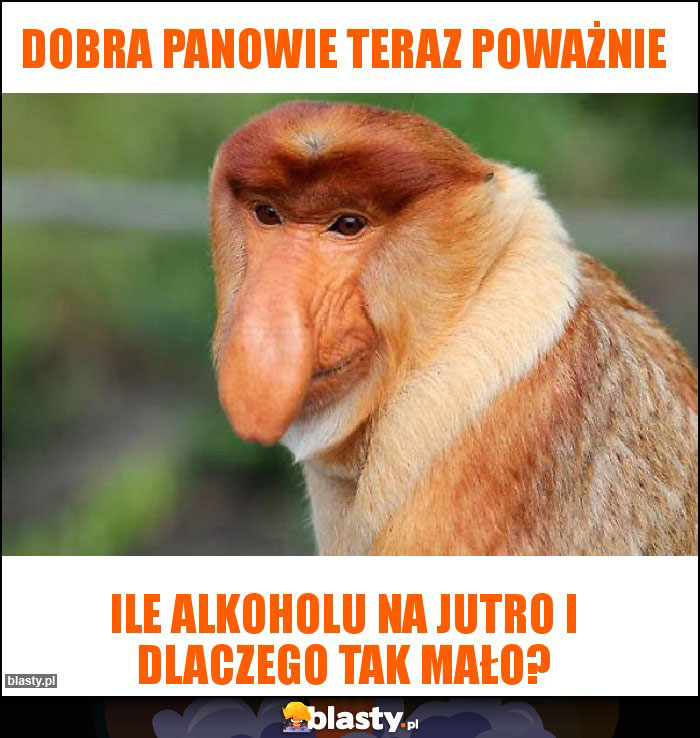 Dobra panowie teraz poważnie Dobra panowie teraz poważnie