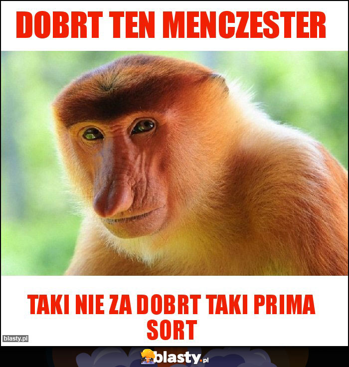 Dobrt ten Menczester Dobrt ten Menczester