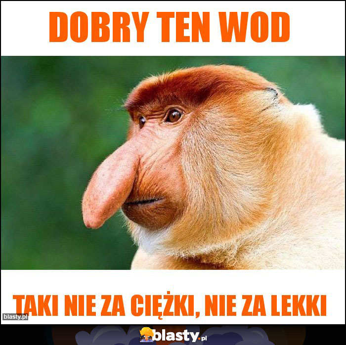 Dobry ten wod Dobry ten wod