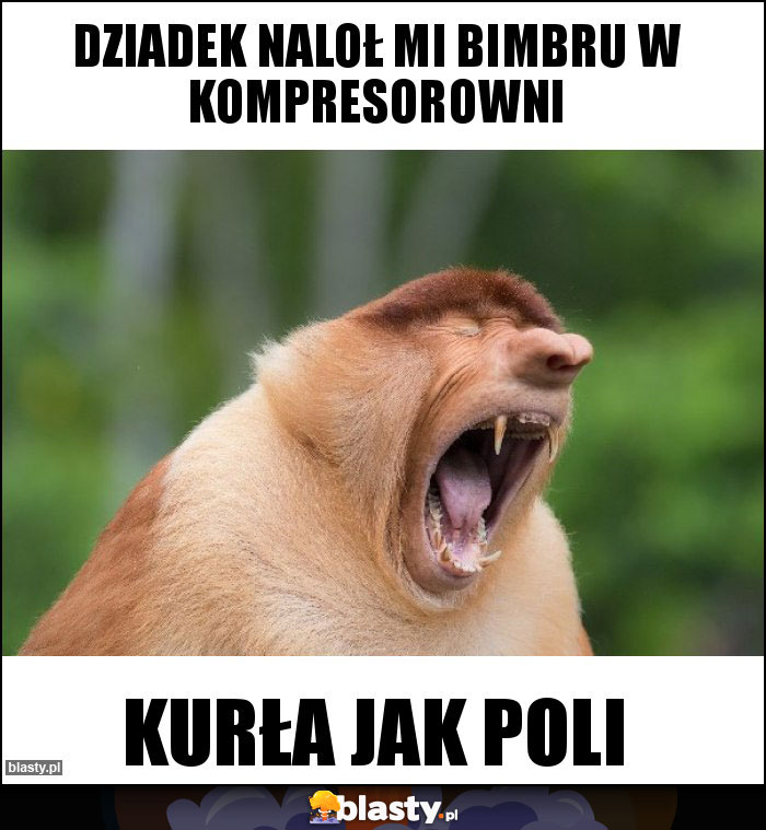 Dziadek naloł mi bimbru w kompresorowni Dziadek naloł mi bimbru w kompresorowni