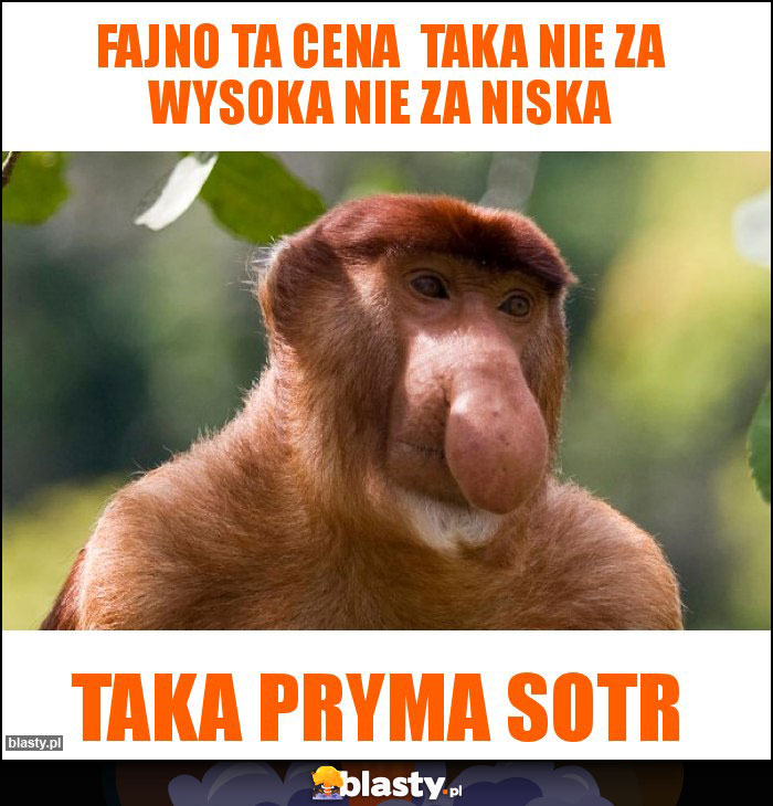 Fajno ta cena taka nie za wysoka nie za niska Fajno ta cena taka nie za wysoka nie za niska