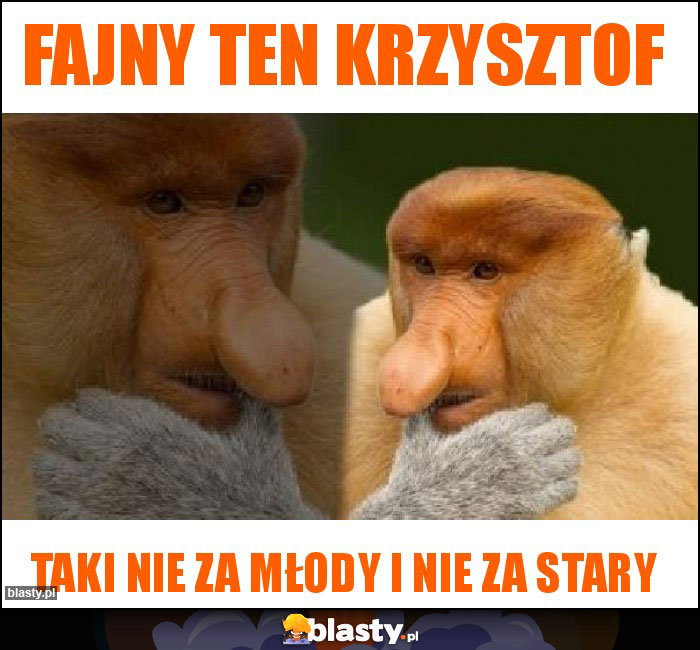 FAJNY TEN KRZYSZTOF FAJNY TEN KRZYSZTOF