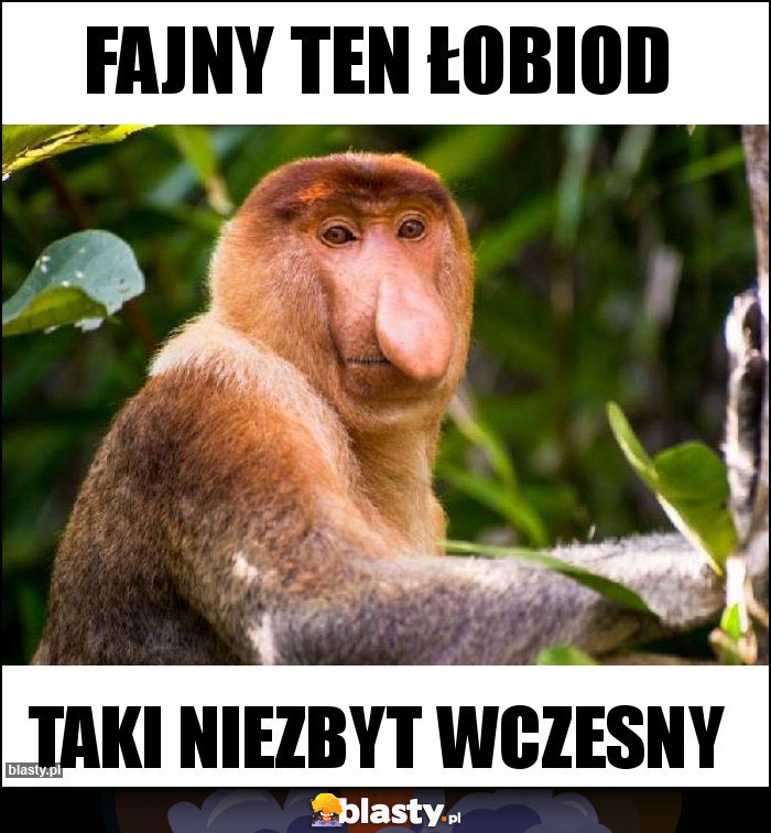 Fajny ten łobiod Fajny ten łobiod