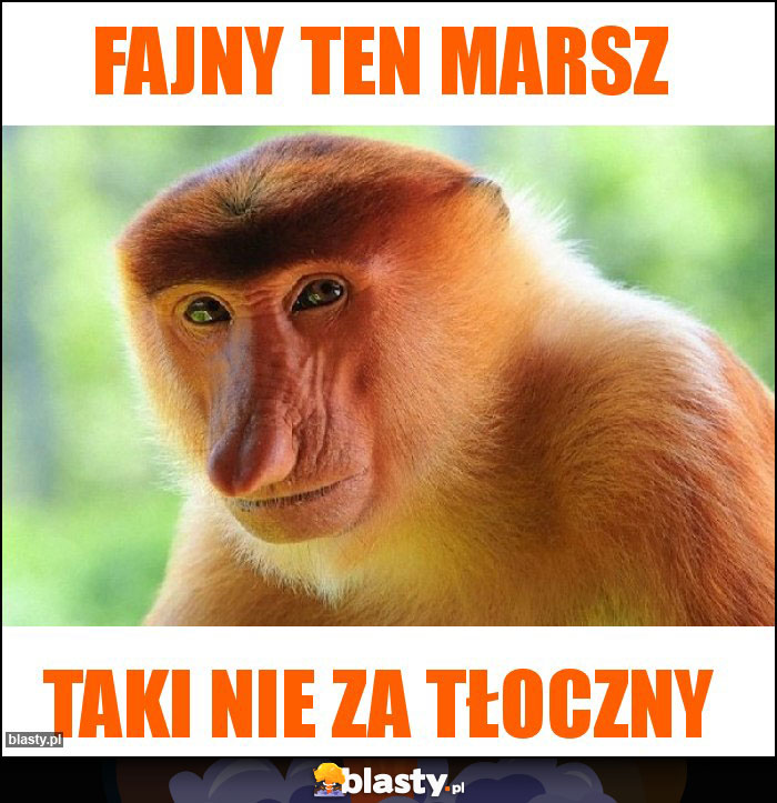 Fajny ten marsz Fajny ten marsz