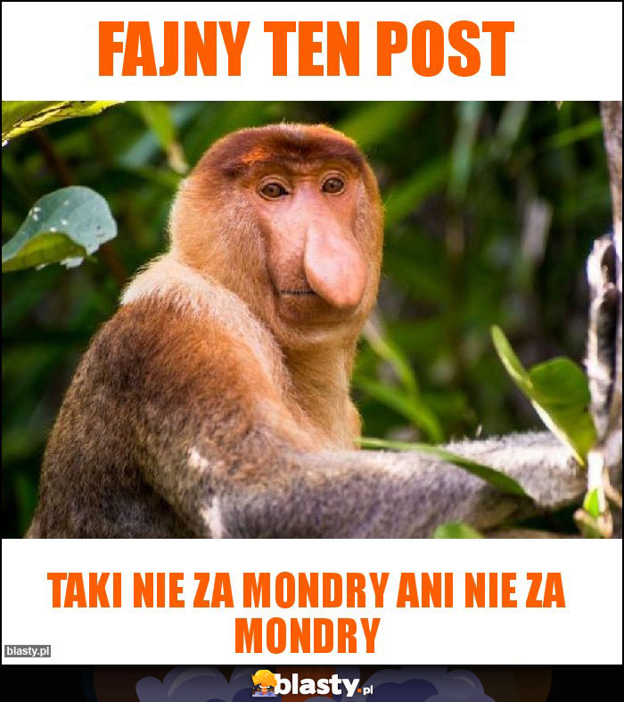 Fajny ten post Fajny ten post