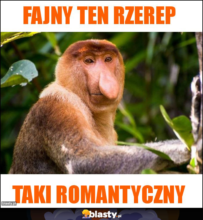 Fajny ten Rzerep